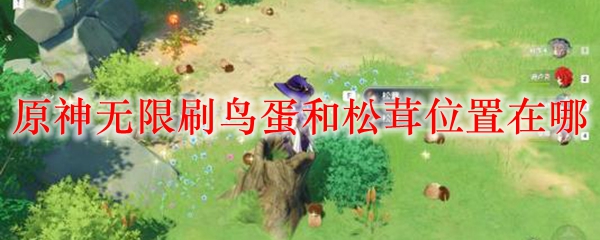 原神无限刷鸟蛋和松茸位置在哪