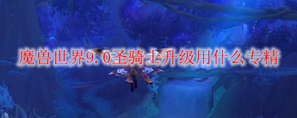 魔兽世界9.0圣骑士升级用什么专精