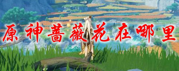 原神蔷薇花在哪里