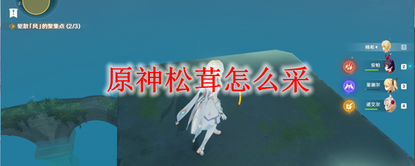 原神松茸怎么采