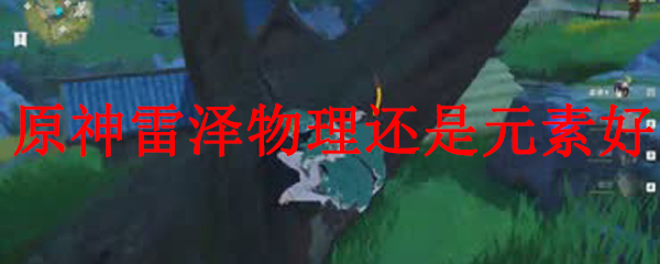 原神雷泽物理还是元素好