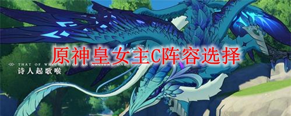 原神皇女主C阵容选择