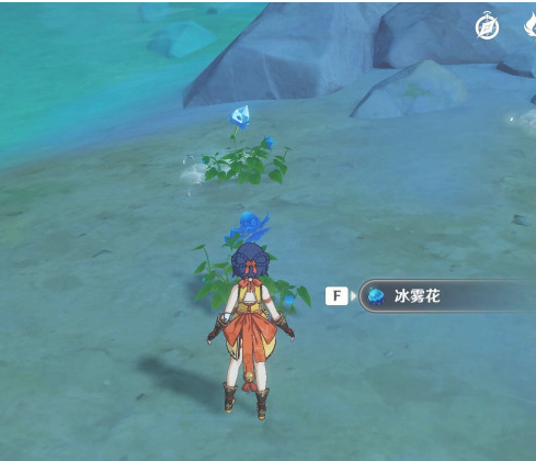 原神冰雾花花朵怎么采集