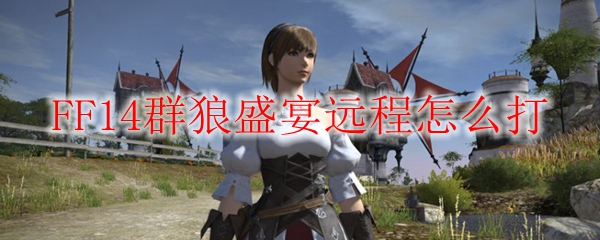 FF14群狼盛宴远程怎么打