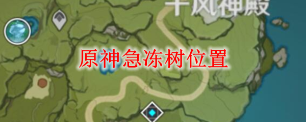 原神急冻树位置