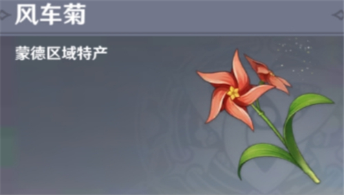 原神风车菊在哪里刷
