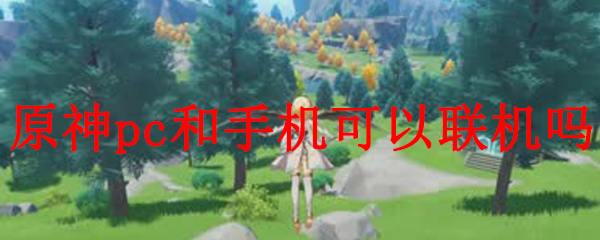原神pc和手机可以联机吗