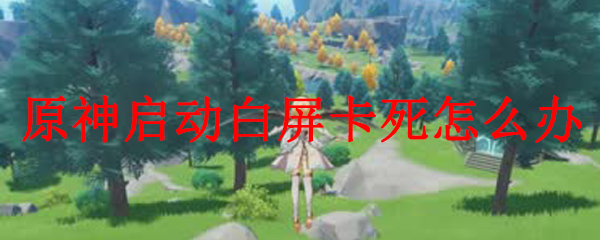原神启动白屏卡死怎么办