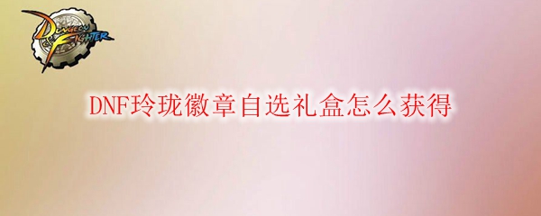 DNF玲珑徽章自选礼盒怎么获得