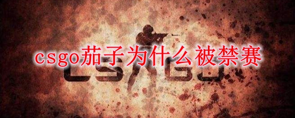 csgo茄子为什么被禁赛