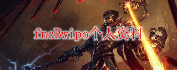 fncBwipo个人资料