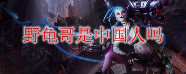 野龟哥是中国人吗