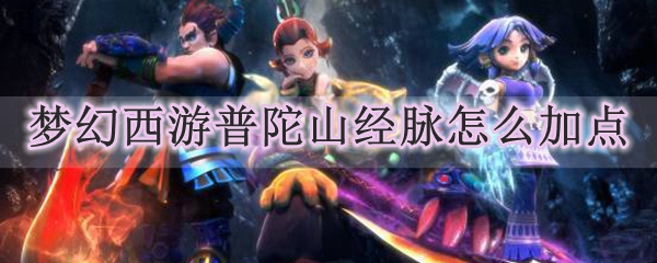 梦幻西游普陀山经脉怎么加点