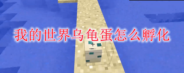 我的世界乌龟蛋怎么孵化