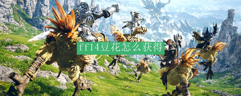 ff14豆花怎么获得