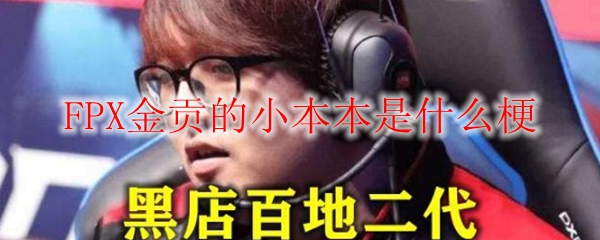 FPX金贡的小本本是什么意思