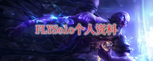 FLYSolo个人资料