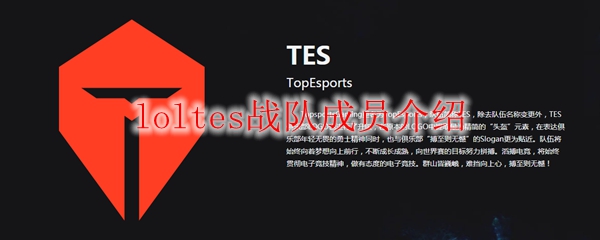 loltes战队成员介绍