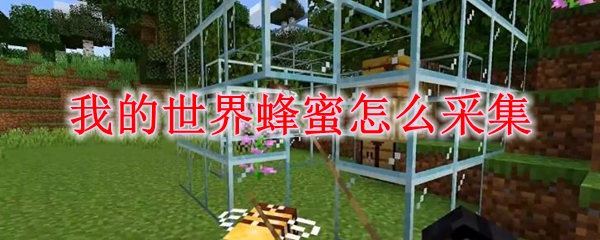 我的世界蜂蜜怎么采集
