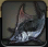 《FF14》5.2海钓梅尔托尔海峡南介绍