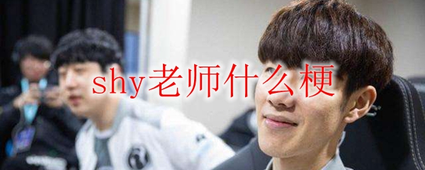 shy老师什么梗