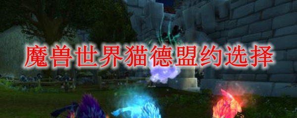 魔兽世界猫德盟约选择