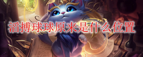 滔搏球球原来是什么位置