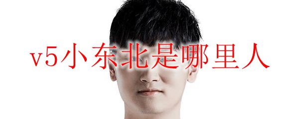 v5小东北是哪里人