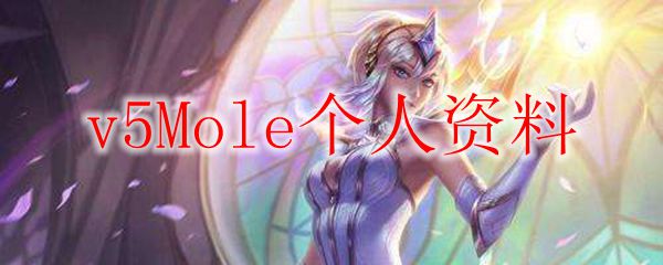 v5Mole个人资料