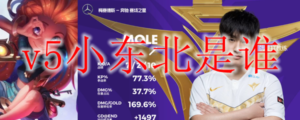v5小东北是谁