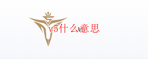 v5什么意思