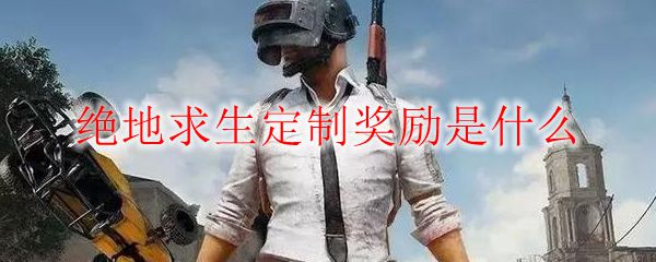 绝地求生定制奖励是什么