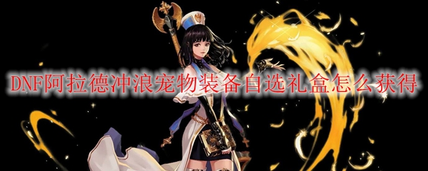 DNF阿拉德冲浪宠物装备自选礼盒怎么获得