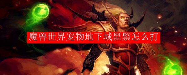 魔兽世界宠物地下城黑鬃怎么打