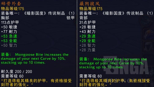 《魔兽世界》9.0生存猎橙装推荐
