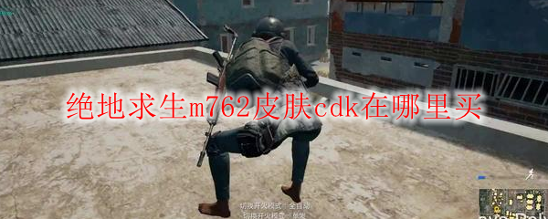 绝地求生m762皮肤cdk在哪里买