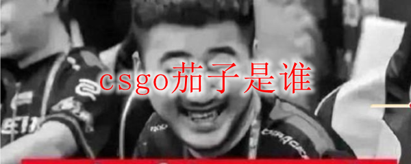 csgo茄子是谁
