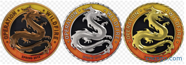 csgo大行动挑战币怎么获得