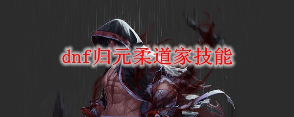 dnf归元柔道家技能