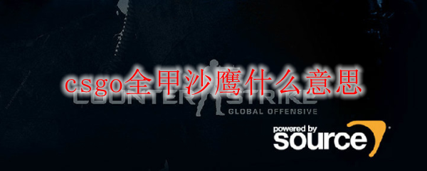 csgo全甲沙鹰什么意思