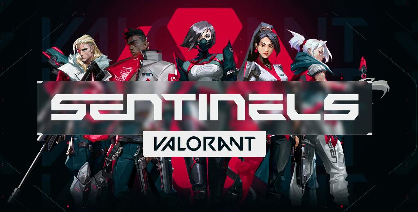Valorant（瓦罗兰特）加速器首选海豚：免费加速流畅玩