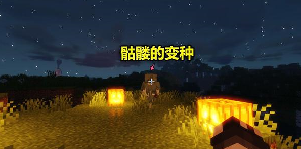 我的世界流浪者在哪里生成