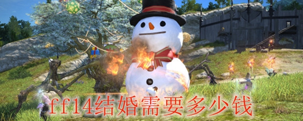 ff14结婚需要多少钱