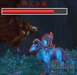 《魔兽世界》符文公鹿刷新位置
