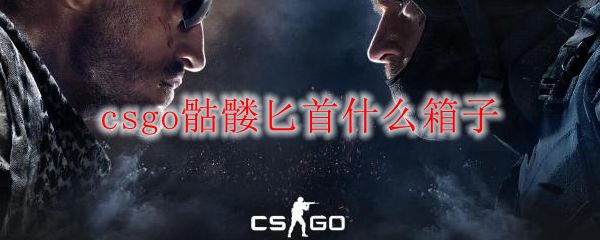 csgo骷髅匕首什么箱子