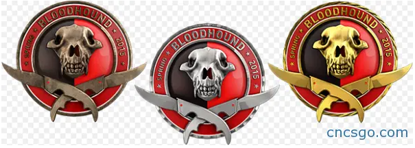 csgo大行动挑战币怎么获得
