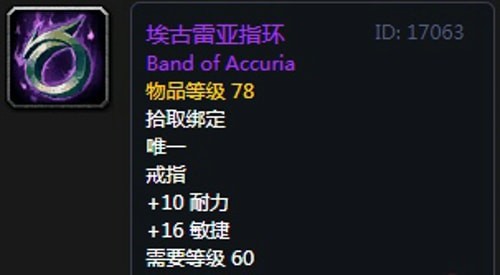 《魔兽世界》怀旧服第五阶段防骑毕业装备大全
