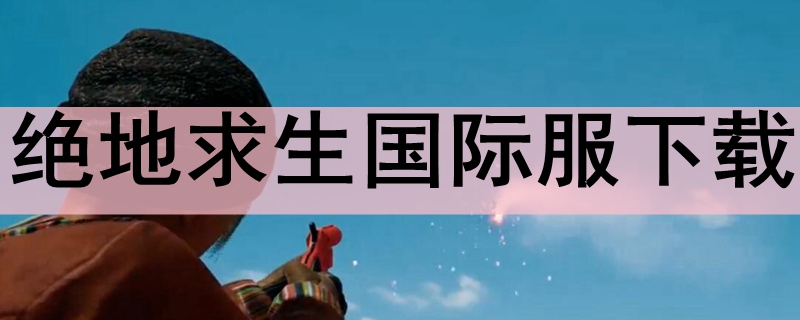 绝地求生国际服下载