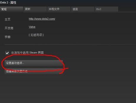 dota2国服启动项