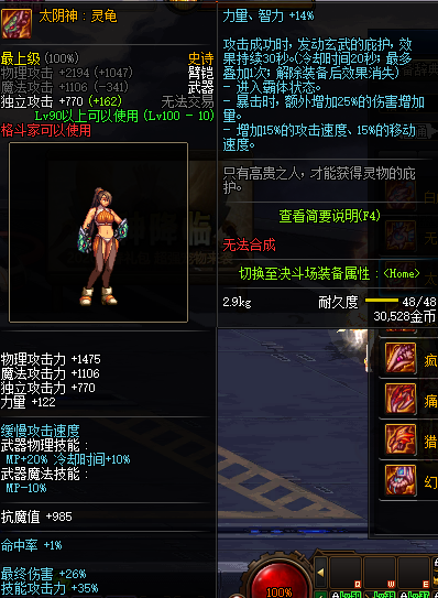 《DNF》太阴神灵龟给谁用